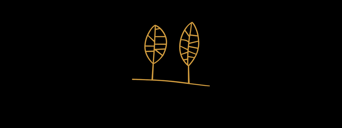 THE STORY BEHIND THE LEAVES