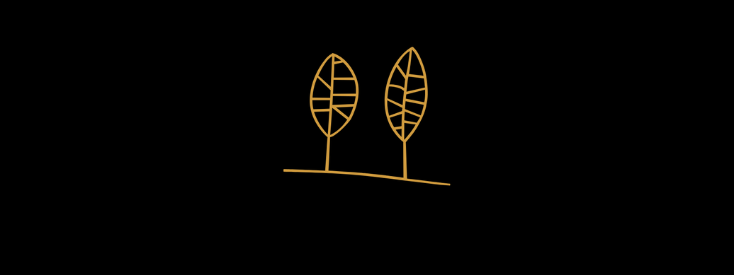 THE STORY BEHIND THE LEAVES