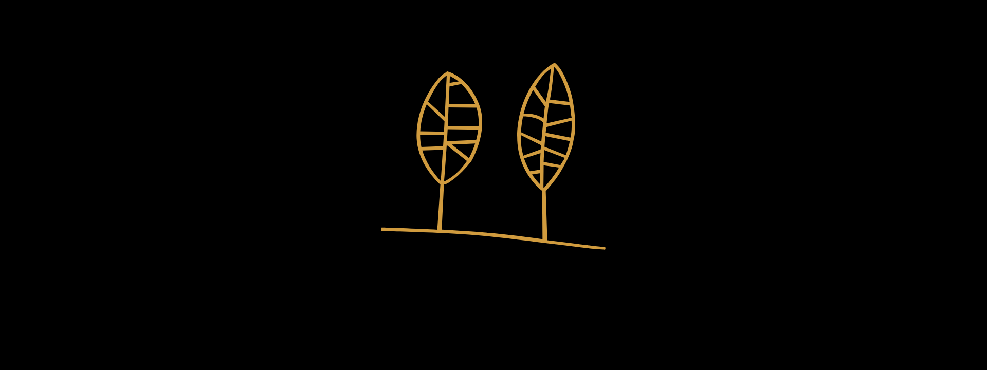 THE STORY BEHIND THE LEAVES