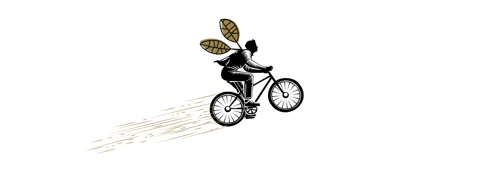 INTRODUCING FLYING MACHINE