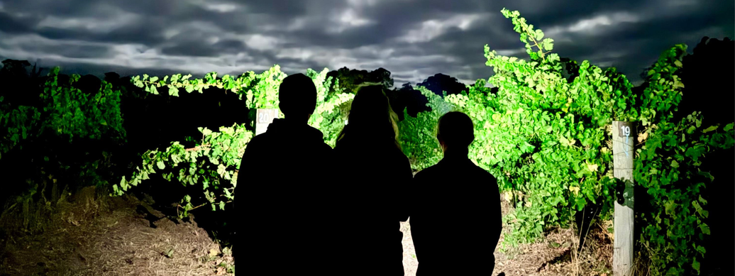 A NEW CHAPTER FOR WILLESPIE