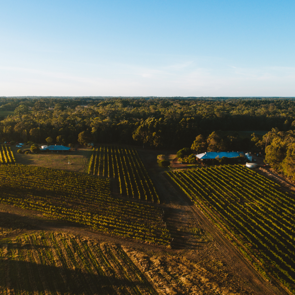 Early Morning at Willepsie
